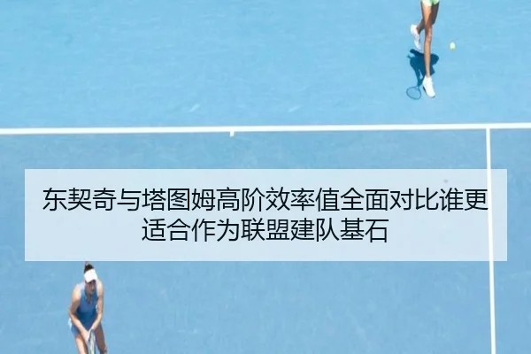 东契奇与塔图姆高阶效率值全面对比谁更适合作为联盟建队基石
