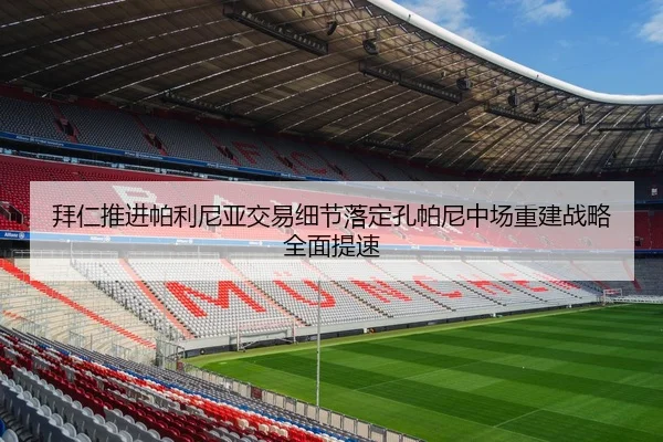 拜仁推进帕利尼亚交易细节落定孔帕尼中场重建战略全面提速